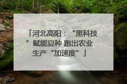 河北高阳：“黑科技”赋能夏种 跑出农业生产“加速度”