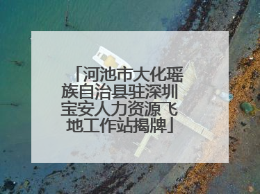 河池市大化瑶族自治县驻深圳宝安人力资源飞地工作站揭牌