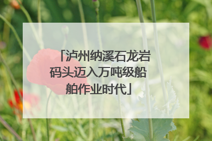 泸州纳溪石龙岩码头迈入万吨级船舶作业时代