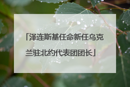 泽连斯基任命新任乌克兰驻北约代表团团长