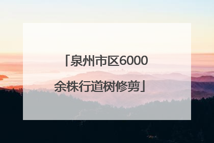 泉州市区6000余株行道树修剪