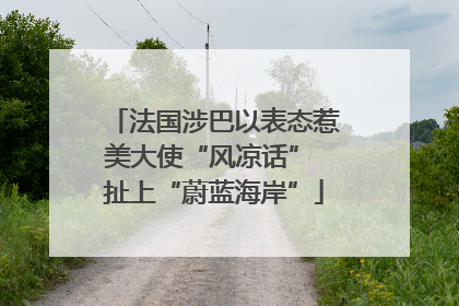 法国涉巴以表态惹美大使“风凉话” 扯上“蔚蓝海岸”