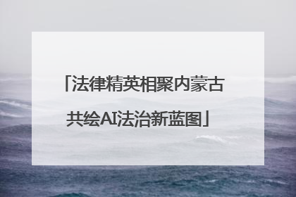 法律精英相聚内蒙古 共绘AI法治新蓝图