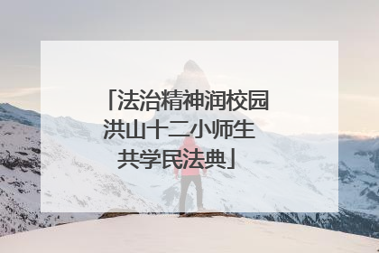 法治精神润校园 洪山十二小师生共学民法典