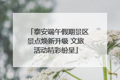 泰安端午假期景区景点焕新升级 文旅活动精彩纷呈