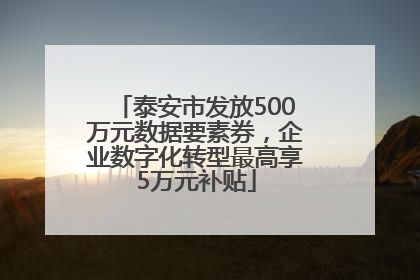 泰安市发放500万元数据要素券，企业数字化转型最高享5万元补贴