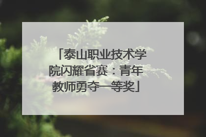 泰山职业技术学院闪耀省赛：青年教师勇夺一等奖