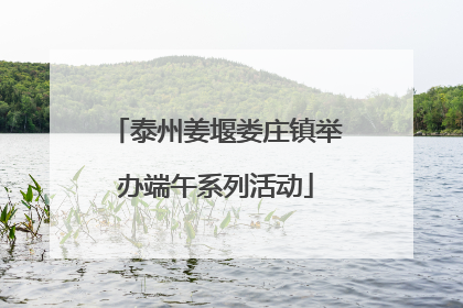 泰州姜堰娄庄镇举办端午系列活动