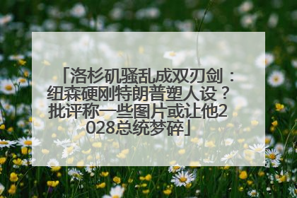 洛杉矶骚乱成双刃剑：纽森硬刚特朗普塑人设？批评称一些图片或让他2028总统梦碎