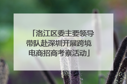 洛江区委主要领导带队赴深圳开展跨境电商招商考察活动