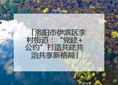 洛阳市伊滨区李村街道：“党建+公约”打造共建共治共享新格局