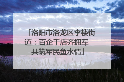 洛阳市洛龙区李楼街道：百企千店齐拥军 共筑军民鱼水情