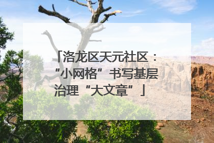 洛龙区天元社区：“小网格”书写基层治理“大文章”