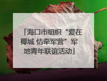 海口市组织“爱在椰城 情牵军营”军地青年联谊活动
