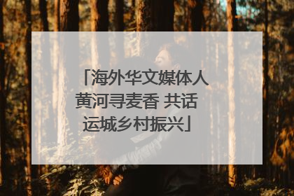 海外华文媒体人黄河寻麦香 共话运城乡村振兴