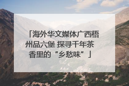 海外华文媒体广西梧州品六堡 探寻千年茶香里的“乡愁味”