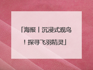 海报丨沉浸式观鸟！探寻飞羽精灵