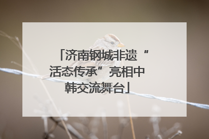 济南钢城非遗“活态传承”亮相中韩交流舞台