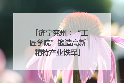 济宁兖州：“工匠学院”锻造高新精特产业铁军