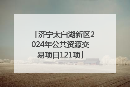 济宁太白湖新区2024年公共资源交易项目121项