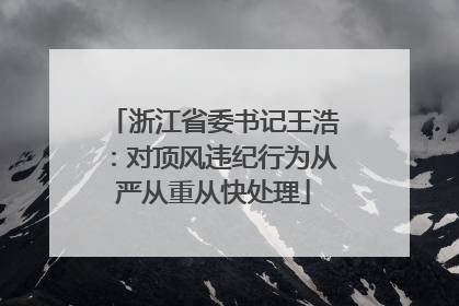 浙江省委书记王浩：对顶风违纪行为从严从重从快处理