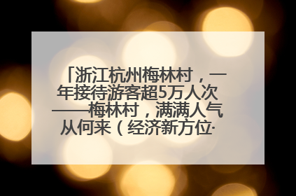 浙江杭州梅林村，一年接待游客超5万人次——梅林村，满满人气从何来（经济新方位·农村消费观察）