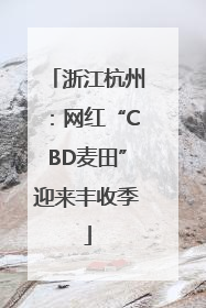 浙江杭州：网红“CBD麦田”迎来丰收季