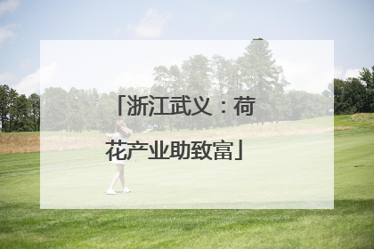 浙江武义：荷花产业助致富