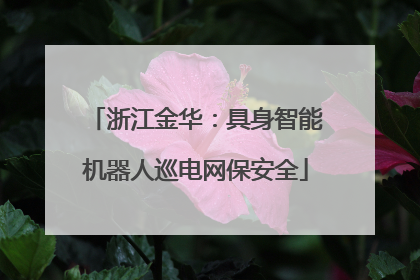 浙江金华：具身智能机器人巡电网保安全