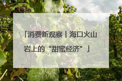 消费新观察丨海口火山岩上的“甜蜜经济”