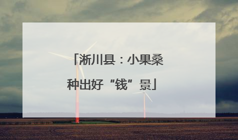 淅川县：小果桑种出好“钱”景