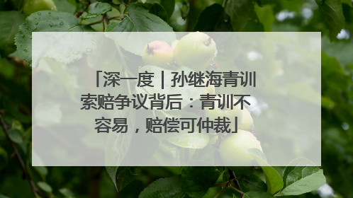 深一度｜孙继海青训索赔争议背后：青训不容易，赔偿可仲裁
