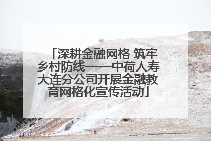 深耕金融网格 筑牢乡村防线——中荷人寿大连分公司开展金融教育网格化宣传活动