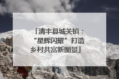 清丰县城关镇：“星辉闪耀”打造乡村共富新图景