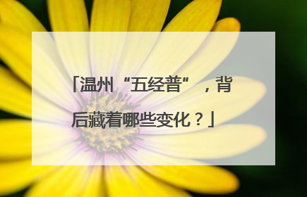 温州“五经普”，背后藏着哪些变化？