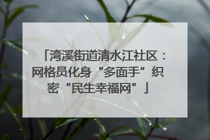 湾溪街道清水江社区：网格员化身“多面手”织密“民生幸福网”