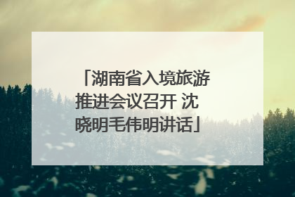 湖南省入境旅游推进会议召开 沈晓明毛伟明讲话