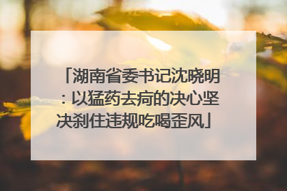 湖南省委书记沈晓明：以猛药去疴的决心坚决刹住违规吃喝歪风