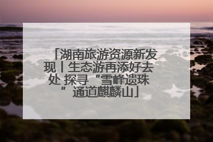 湖南旅游资源新发现丨生态游再添好去处 探寻“雪峰遗珠”通道麒麟山