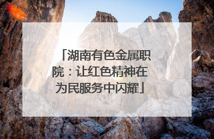 湖南有色金属职院：让红色精神在为民服务中闪耀