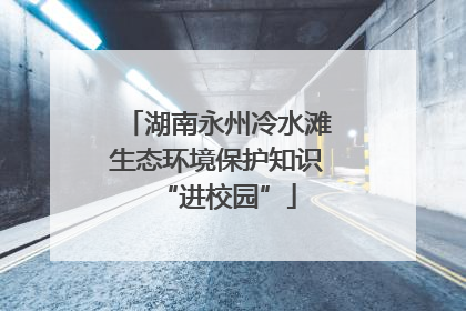 湖南永州冷水滩生态环境保护知识“进校园”