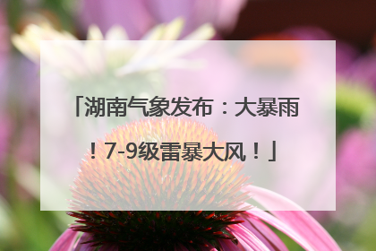 湖南气象发布：大暴雨！7-9级雷暴大风！