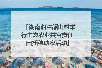 湖南湘潭韶山村举行生态农业共富责任田插秧助农活动