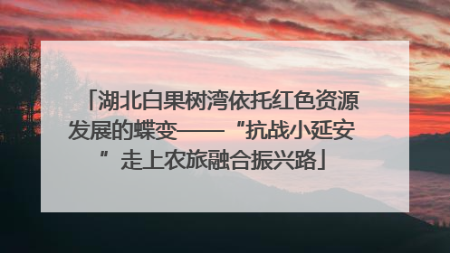 湖北白果树湾依托红色资源发展的蝶变——“抗战小延安”走上农旅融合振兴路
