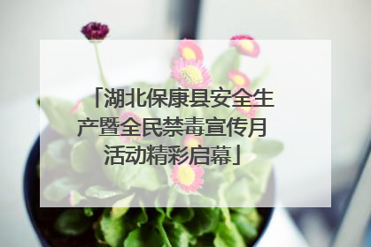 湖北保康县安全生产暨全民禁毒宣传月活动精彩启幕
