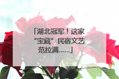 湖北冠军！这家“宝藏”民宿文艺范拉满……