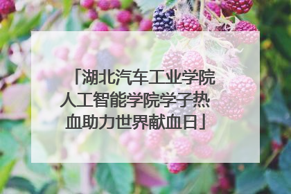 湖北汽车工业学院人工智能学院学子热血助力世界献血日