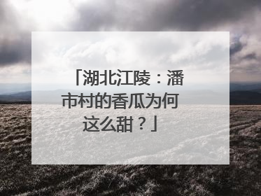 湖北江陵：潘市村的香瓜为何这么甜？