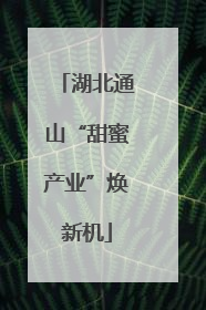 湖北通山“甜蜜产业”焕新机