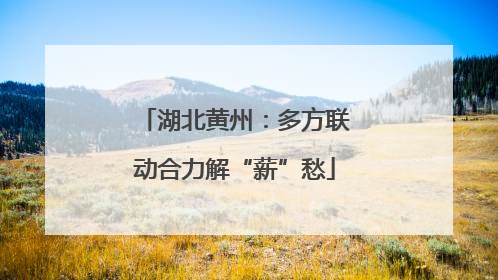 湖北黄州：多方联动合力解“薪”愁